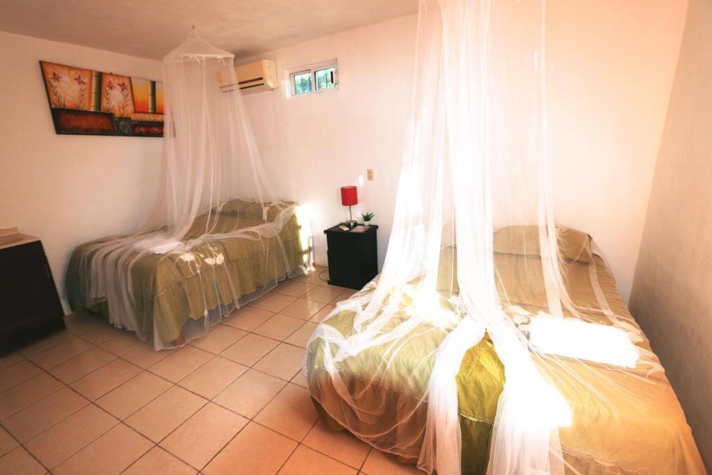 Bed and Breakfast Otoch Béek Calakmul Chicanna Camera foto